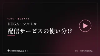 DUGA・ソクミル、配信サービスごとの特徴と使い分け